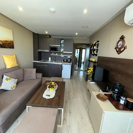 One Bedroom Private Paradiso B 501 شقة