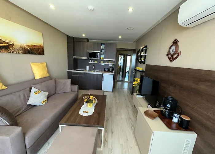 One Bedroom Private Paradiso B 501 Appartement